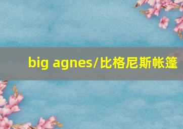 big agnes/比格尼斯帐篷